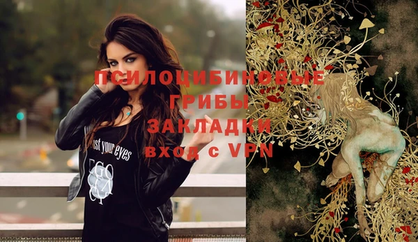 твердый Зеленокумск